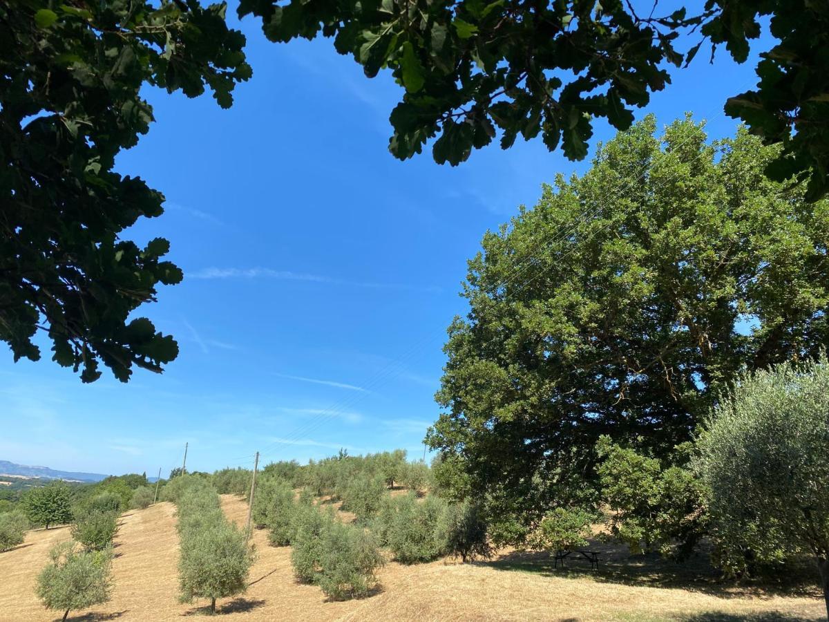 La Casina Della Quercia, Your Tuscan Oak Tree House 오스테리아 델레 노치 외부 사진