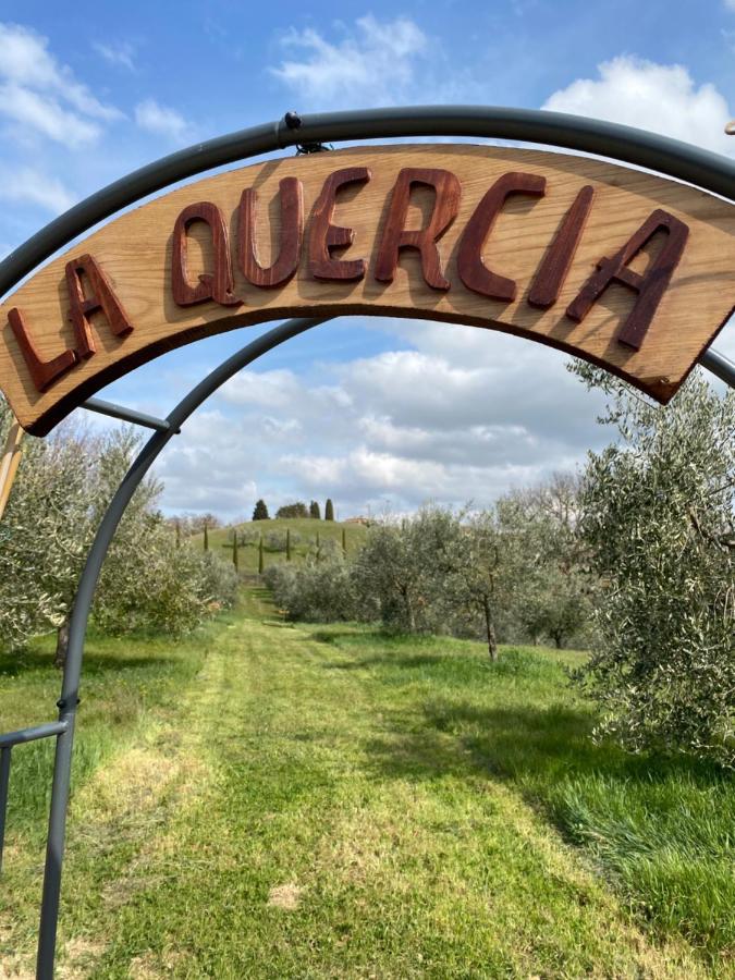 La Casina Della Quercia, Your Tuscan Oak Tree House 오스테리아 델레 노치 외부 사진